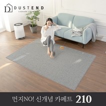 파크론 파크론 거실매트/카페트/러그 그레이 더스트앤드 쿠션 거실매트 210