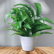 이츠굿텐 플랜테리어 조화 화분 인테리어조화 나무조화 안스리움 촬영소품, 10 보스턴고사리(대), 1개