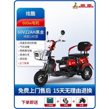 다인승 오토바이 삼륜 전동차 세발 전기 스쿠터 미니 카트 미니 노인 장애인, 600W 모터60V22Ah 블랙 골드 배터리