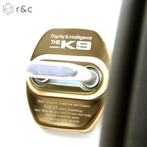 람앤클 더 K9 크롬 도어스트라이커 도어락 부식방지 몰딩 커버 도어체커 힌지커버 튜닝 용품, 골드(1P)