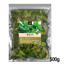 전남 완도 국산 황칠나무 잎 500g 인삼나무 황칠차, 1개