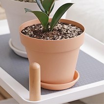 사무실 이전선물용 미니화분 작은화분 집꾸미기, 라이트브라운