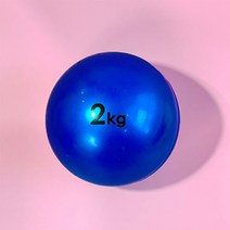 베어플 요가 필라테스 토닝볼 2kg, 블루, 2개