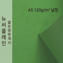 뉴씨플레인 종이문화 얇은 양면색지 120g A5 낱장 1매 No.60 초록, 1장
