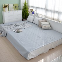 블레딕홈 패밀리패드, 블루그레이