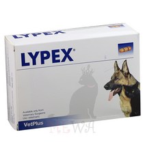 애완견 애완묘 강아지 고양이 멀티 효소 LYPEX 캡슐 VETPLUS 고양이와 췌장염 만성 설사 췌장