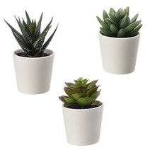 이케아 FEJKA 페이카 인조 다육 식물 화분 6cm 3개
