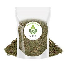 오허브 국산 측백 측백엽 측백나무잎 250g, 선택완료, 단품
