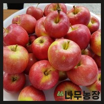 (나무농장) 미니사과(오토매) R4 내외 결실주 분