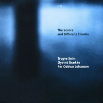 핫트랙스 TRYGVE SEIM - THE SOURCE AND DIFFERENT CIKADAS