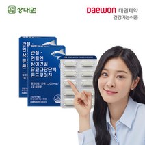 대원제약 관절 연골엔 콘드로이친, 뮤코다당 콘드로이친 2박스2개월, 2개