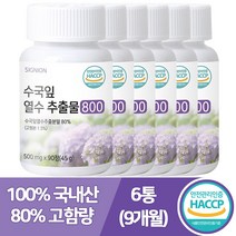 식약처인증 고함량 국산 수국잎 열수 추출물 800 보이차 레몬밤 피부 건강 사은품증정, 수국잎 열수 추출물 6통, 6개