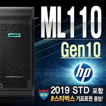 ML110 G10 (3204 48GB 1TBx3 WIN2019 STD) 서버 HP