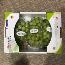 한가위 추석 달콤한 김천 샤인머스켓2k 선물세트, 1박스, 샤인머스켓2kg(3수)
