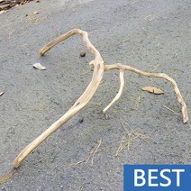 유목 대형 98cm 국산