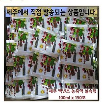 월령백년초 제주 백년초 농축액 백련초 손바닥 선인장 열매 진액 즙 실속형, 100ml, 150포