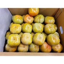 [과애모] 전남순천 광양 구례 차량단감 10kg, 10kg5다이(52~59)