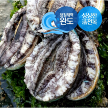 [생일도참전복] 바다내음듬뿍 싱싱 ( 완도 활전복 8-9미1kg 1.5kg 2kg ) (산소포장+전용손질솔) 당일발송, 1box, 1kg