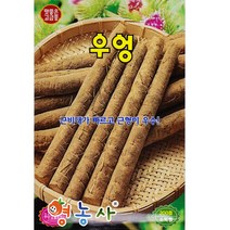 우엉씨앗 200립, 단품