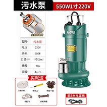 수중 오수펌프 정화조청소 배수펌프 급수 가압 가정용, 03. 오수펌프 550W 1인치 5m전선 5m관