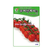 토마토씨앗 슈퍼산체리1호토마토 100립 비대력 착과력, 단품