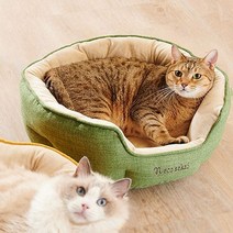 고양이 라운드 베드 모스그린 캣 하우스 베드 쿠션고양이장난감 고양이집 강아지밥그릇 강아지옷 애견방석 강아지물통 강아지간식 강아지카시트 애견하네스 애견, 본상품
