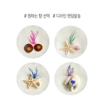 숨비 고체향수 동백