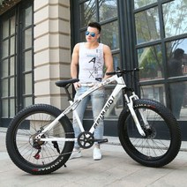 하드테일 자전거 풀샥 MTB 바퀴두꺼운 카본 팻바이크 광폭 다운힐 24단 20인치, 24인치, B