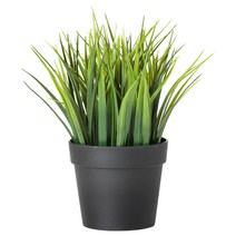 이케아 페이카인조식물 실내외겸용 풀9cm /조화, 1개