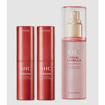 AHC 텐션 아이크림 스틱 포 페이스 10g x2 + 카멜리아 미스트 80ml, 단품