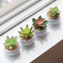 미니 다육 선인장 조화 화분 4p 세트, 1세트