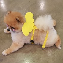 예펫 날개 하네스 강아지 고양이 가슴줄, 하네스_핑크_XS