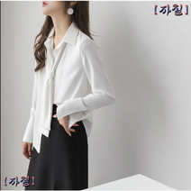 쉬폰 셔츠 여성용 긴 소매 재킷 전문 기질 셔츠