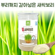 수경재배 제주 새싹보리 새싹보리분말 새싹보리가루 새싹보리뿌리 통째로 건강분말 국산 무농약 친환경 보리순 100% 곡물쉐이크 아침대용쉐이크 타먹는 보리새싹가루 보리새싹분말 250g