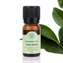티트리 아로마 에센셜 오일 12ml, 상세페이지 참조