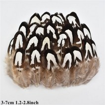 도매 천연 공작 꿩 깃털 작은 닭 거위 플라이 묶는 재료 수공예 액세서리 장식, 20 Piece, Size 3-7CM_12