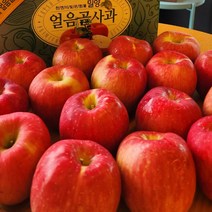 [외할머니밥상] 밀양 얼음골 아삭아삭 꿀사과 5kg 10kg / 사과즙, 05 얼음골 사과즙 120ml 50포