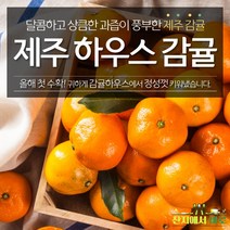 산지에서바로 당도측정 고당도 제주 노지 감귤 2s 로얄과 5kg 10kg, 감귤 로얄과 10kg, 1개