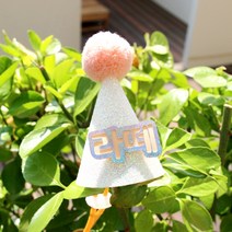 소소펫토리 강아지 고깔 생일모자 고양이 파티 아이돌 이름표 네임택, 화이트애프리콧
