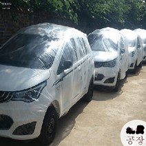 DFMEI 자동차 후드 PE필름 두껍게 일회용 투명 플라스틱 후드, DFMEI  LL, 투명하다.