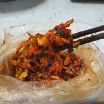 [오똑팜] 무농약 무말랭이무침 (500g), 500g