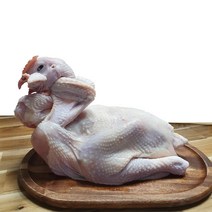 토종닭 제사닭 제수용닭 암닭 1.3kg내외 오후4시마감 수요일휴무 생닭 한약재무료제공 살아있닭