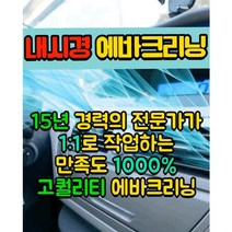 서울 인천 경기 무료출장내시경에바크리닝 에어컨/히터 곰팡이제거 악취제거 호흡기관리, 국산차2019년전모델(현대/기아), 1개
