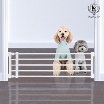딩동펫 애견울타리 폭조절울타리, 폭조절울타리 36x74cm