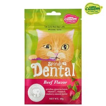 캣템 스피루리나 덴탈 고양이 이빨과자 스낵, 1개, 60g, 비프