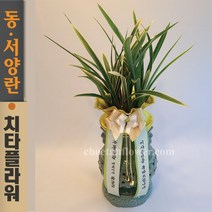 치타플라워 동양란 황룡관 [CD06-005] 승진 개업 축하 난 동양난 영전 취임 생일 선물 화분 고급 란 전국 당일 배송 꽃배달