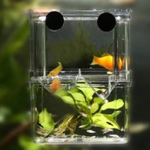 구피 치어 열대어 물고기 격리 부화 통 어항 소형, 물고기부화통-소형, 물고기부화통-소형
