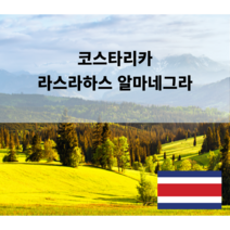 원두공방 [스페셜티] 코스타리카 라스라하스 알마네그라 내추럴 200g 500g 1kg, 홀빈(분쇄 안함)