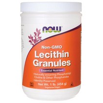 NOW Foods 나우푸드 대두 레시틴 효능 과립 분말 파우더 - 포스파티딜 콜린 Non-GMO(454g), 1개, 454g