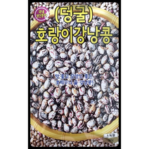 호랑이강낭콩씨앗30G 덩굴성 강낭콩씨앗 콩씨앗 KS종묘